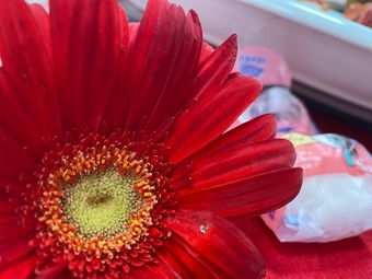 Xiao Yang Xiqing Restaurant (Pengping East Road Branch)