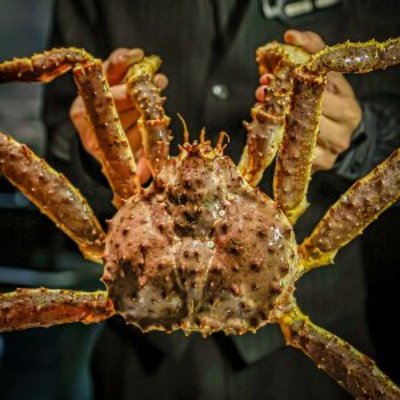 Man Ban Qian · Imperial Crab Snow Crab (Huan Yu City Branch)