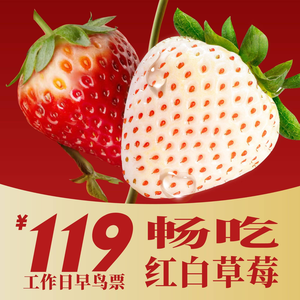 Ichigo ni Sukiyaki Buffet (Shanghai Huanyu City MAX Branch)