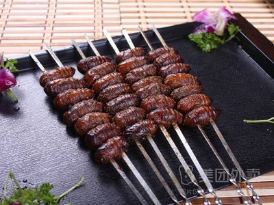 Zhu's BBQ (Chexiang Road Branch)
