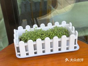Shaxian Snack Food (Shengda Tian Di Qingchun Li Store)