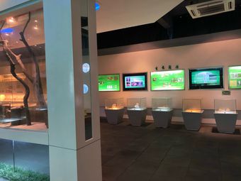 China Mushroom Museum
