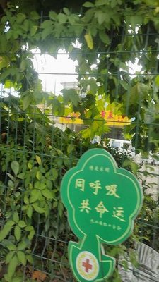 Anhui Home-style Cuisine