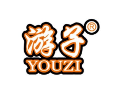 Youzi Duck Noodle Soup