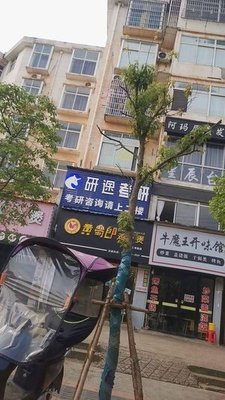 Demon Bull Taste House (Shangrao Street Branch)