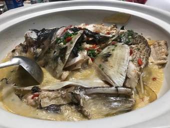 Earth Cuisine Banquet Hall (WTO Road Store)