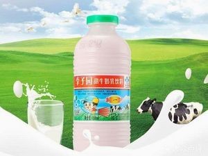 Tujia Sauce-Fried Flatbread