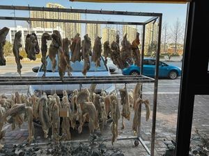 Xiao Xu's Restaurant