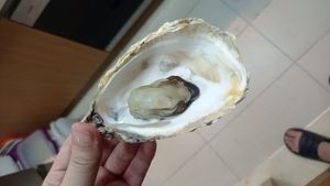 Niuniu Night Market (Nanhu Community Branch)