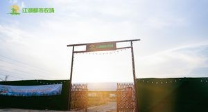 Jianghu Outdoor Barbecue · Team Building Gathering Camping (Honggutan Branch)