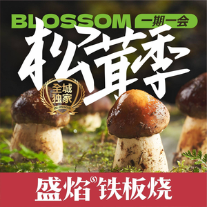 Sheng Yan Teppanyaki (Wanda Plaza Branch)