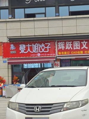Auntie Li's Dumplings (Jinshang Tianyu Branch)
