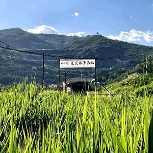 Shanyu · Starry Camping Base