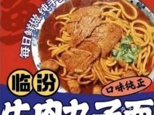 Linfen Beef Meatball Noodles (Zhicheng C District Store)