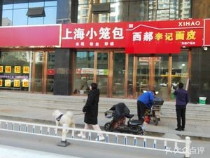 Shanghai Steamed Dumplings (Huitong Street Branch)