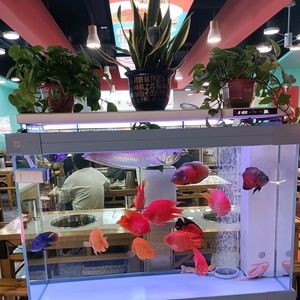 Wutou Hot Pot (Xiaodian Zhenwu Road Branch)