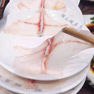 Li Ying Carp