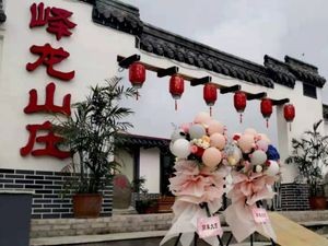 Yilong Mountain Villa (Jinling Branch)