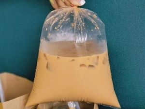 Laos Ice Coffee Thai Milk Tea