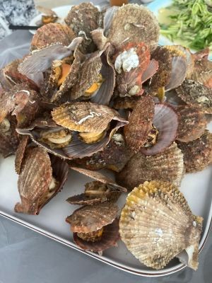 福满多铜锅涮羊肉(四农社区店)