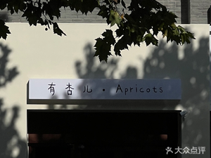 You Xing Er · Apricots