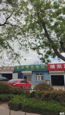 Dongcai Special Dumplings