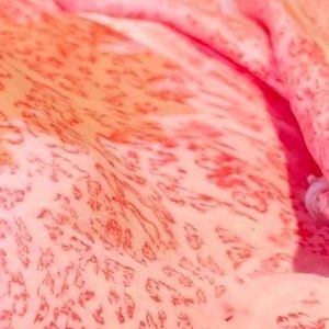 Benyuan 11 Japanese Wagyu Hot Pot (Lai Shan Branch)