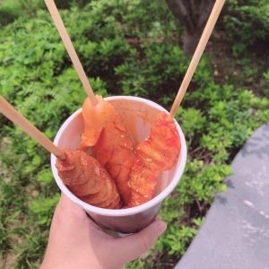 Lao Tongguan Meat Sandwich & Xiao County Noodles