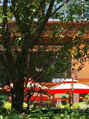 老铠鸡煲(山外有山分店)