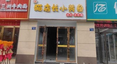 Cat Manager Little Yellow Fish