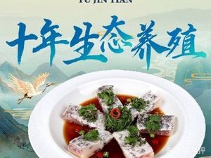 Yujin Tian (YaJiuLe Store)