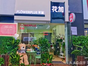 Flower plus (Baiyun Wanda Store)