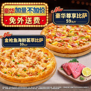 Domino's Pizza (Zhonghua Plaza Branch)