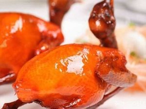 Pigeon Legend Across the World