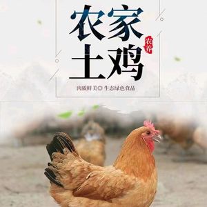 Farmhouse Kitchen Farm