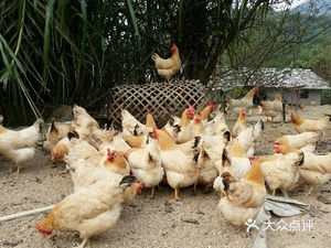 Jufuyuan (Jinyi Jinxiu Yijing Branch)