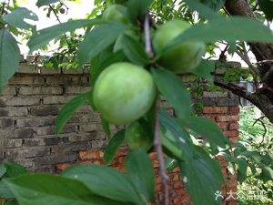 Hunan Restaurant (Hangxiao East Street Branch)
