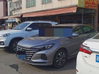 Dashadi Steamed Rice Bowl