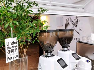 bi.coffee (Tonghe Branch)