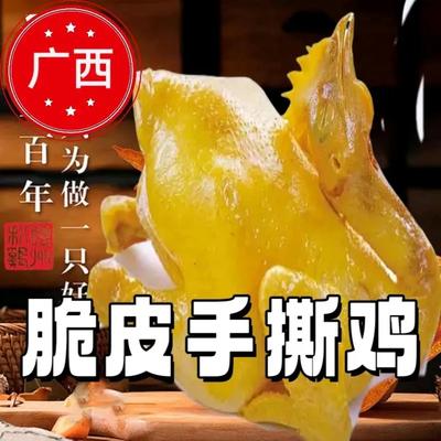Gu Bo Shi · Yunnan Mushroom Chicken Soup Rice · Noodles · Dumplings (Jingxi Branch)
