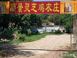Shunjing Lingzhi Chicken Farmhouse