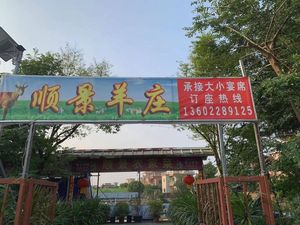 Shun Jing Sheep Farm Home Cooking