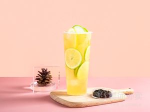 Encounter Antarctica Ice (Dagang Store)