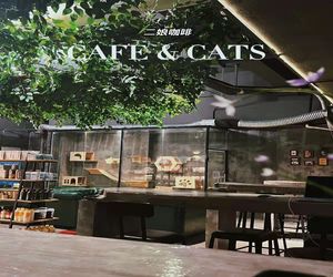 Erniang Cafe & Cats (Ruidong Garden Branch)