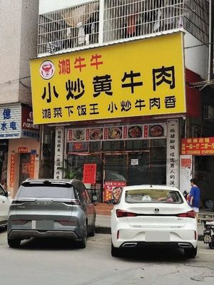 Xiang Niu Niu Small Fry Beef with Yellow Onion