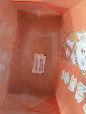 Yang Zibu · Shandong Zaozhuang Dao Bei Yang Tang Guan