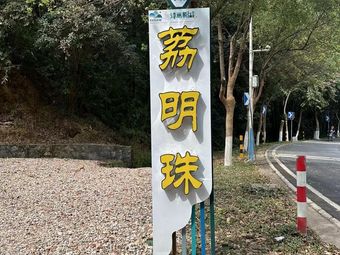 Taihe Old Brand Lize Ming Zhu