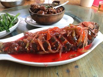 Fujii Restaurant (Xingtai Third Road Branch)