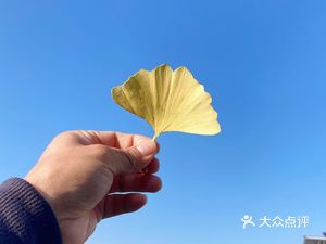 Shaxian Snacks (Yuyin Science Park Store)