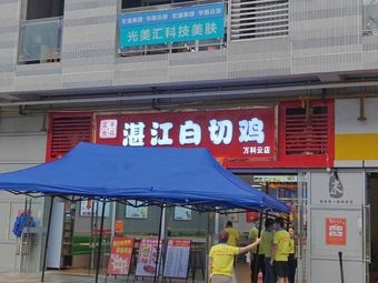 Zhanjiang White-Cut Chicken (Wanke Yun Store)